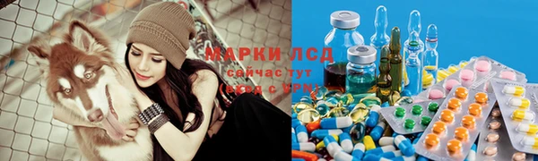мяу мяу мука Нефтекумск