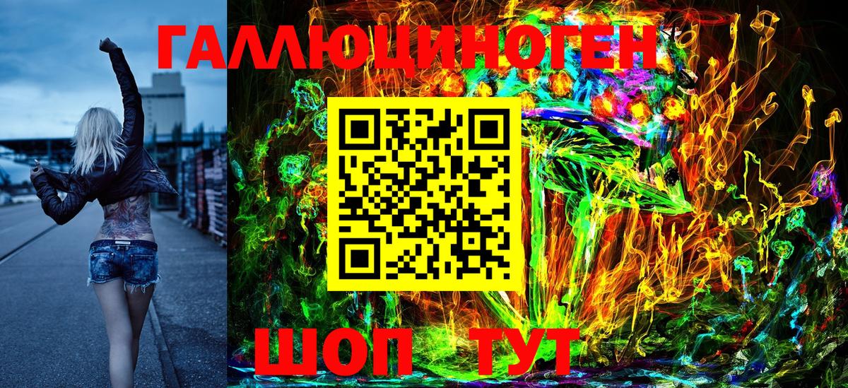 Псилоцибиновые грибы Psilocybine cubensis Новодвинск