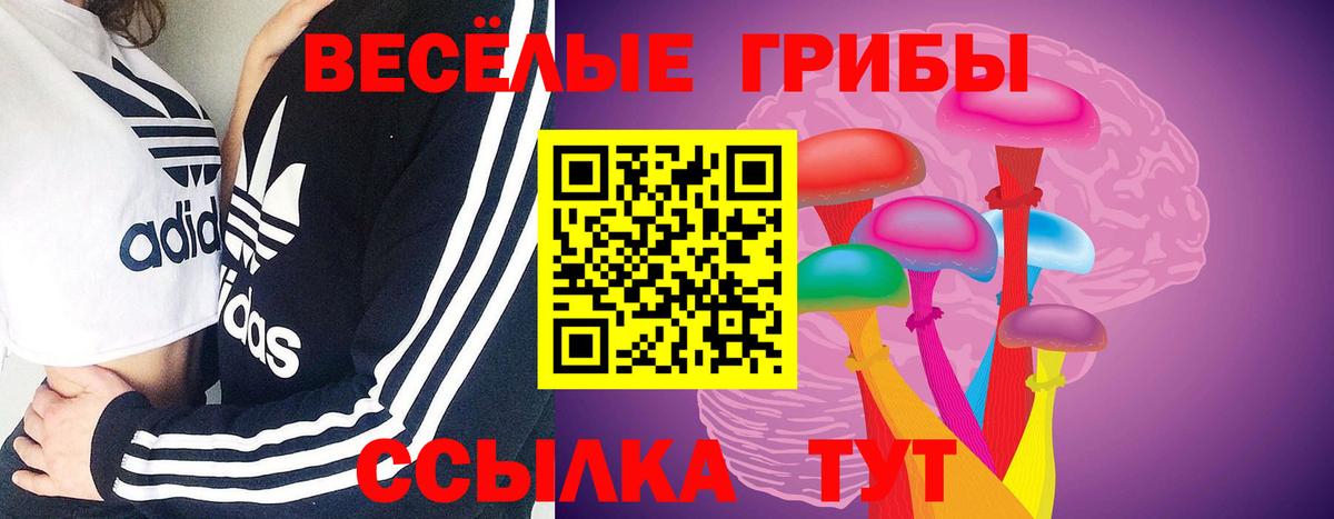 Новодвинск  Псилоцибиновые грибы Cubensis  Вход с VPN  купить наркотик  Псилоцибиновые грибы Psilocybine cubensis 